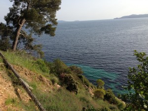 Lavandou cliff
