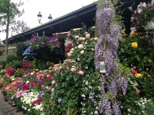 Marche aux fleurs