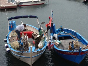 St Tropez fishing boats