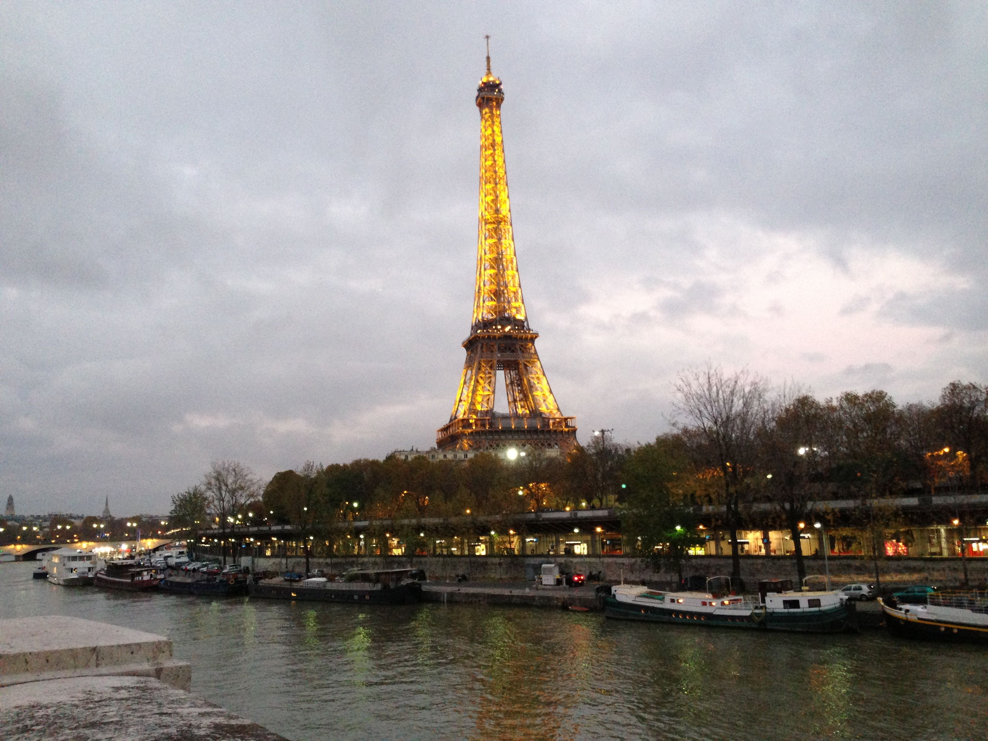 Christmas Lights and Scenes in Paris